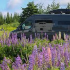 Best of Newfoundland