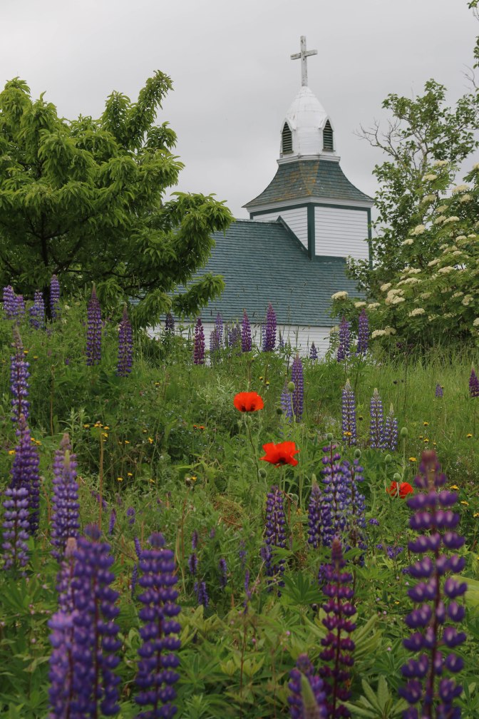 Best of NL (11 of 56)