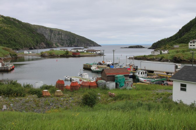 Best of NL (12 of 56)