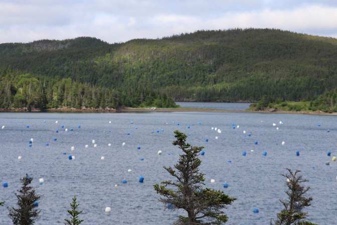 Best of NL (13 of 56)