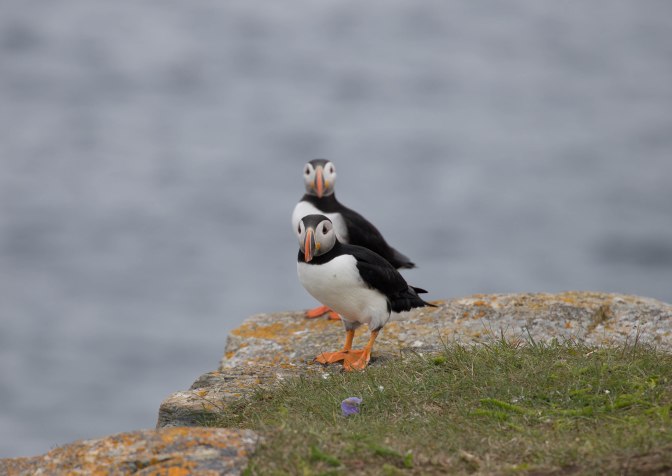 Best of NL (14 of 56)