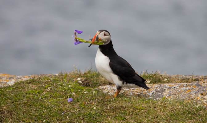 Best of NL (16 of 56)