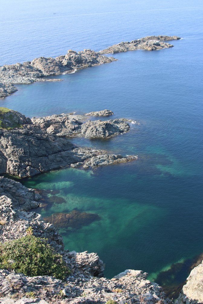 Best of NL (31 of 56)