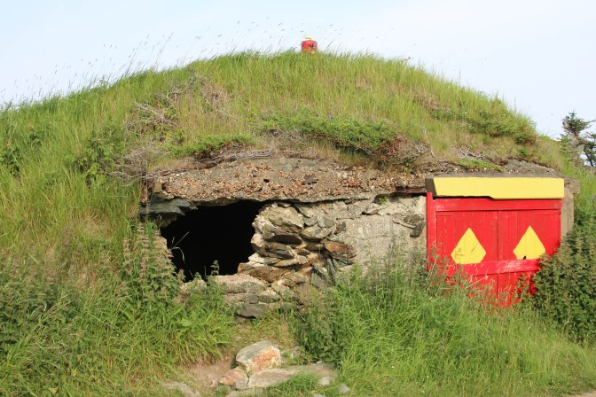 Best of NL (34 of 56)