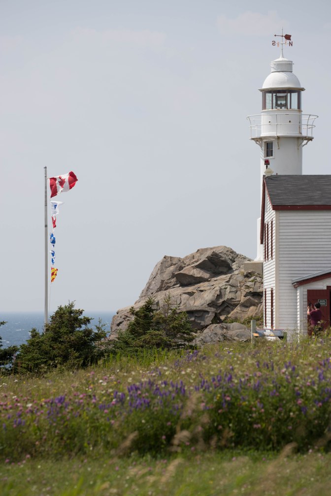 Best of NL (39 of 56)