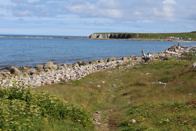 Best of NL (47 of 56)