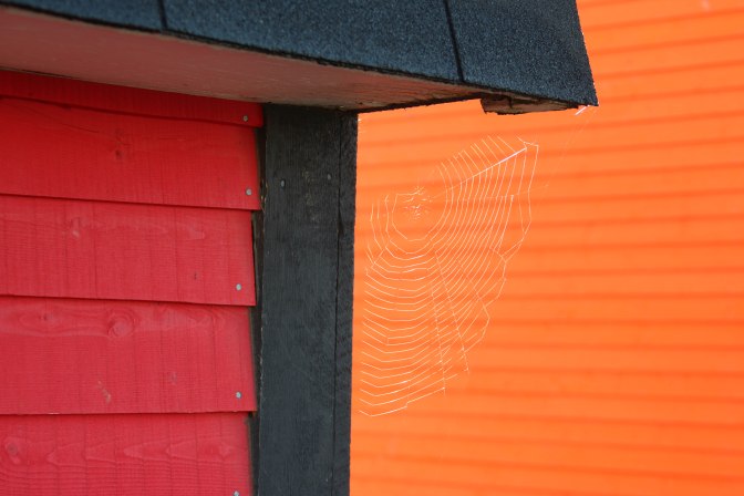 Best of NL (5 of 56)