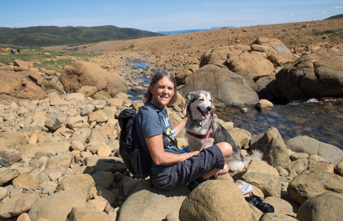 Best of NL (50 of 56)