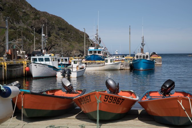 Best of NL (8 of 56)