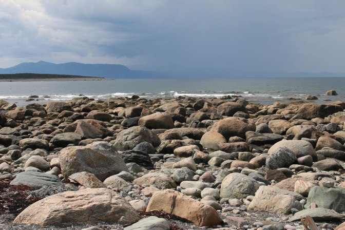 rockorama (3 of 3)-2